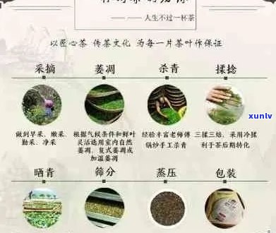 玉露普洱茶价格昂贵的原因解析与比较：品质、工艺、产地等多个方面全面分析