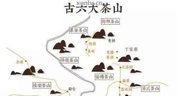 普洱茶古六山：哪一款闻？