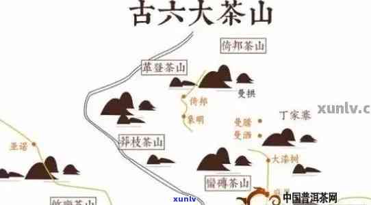 探索六大古茶山：普洱茶的历、品种、制作工艺与品鉴全解析