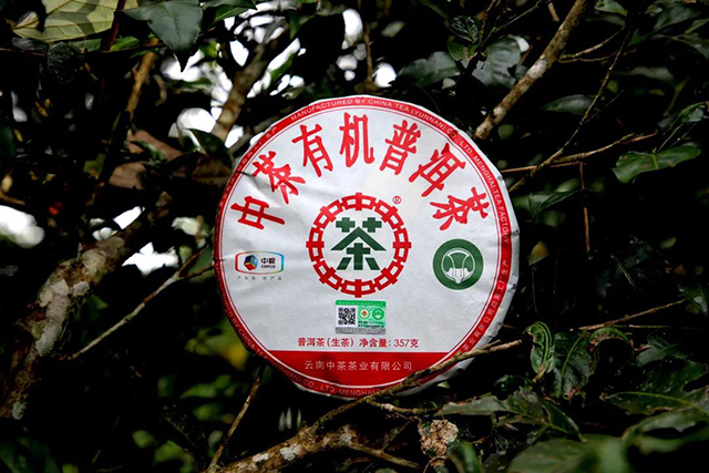 中茶茶叶云南醇香普洱茶