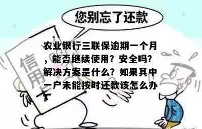 逾期一个月后还款的农行信用卡，是否能继续使用？安全性如何保障？