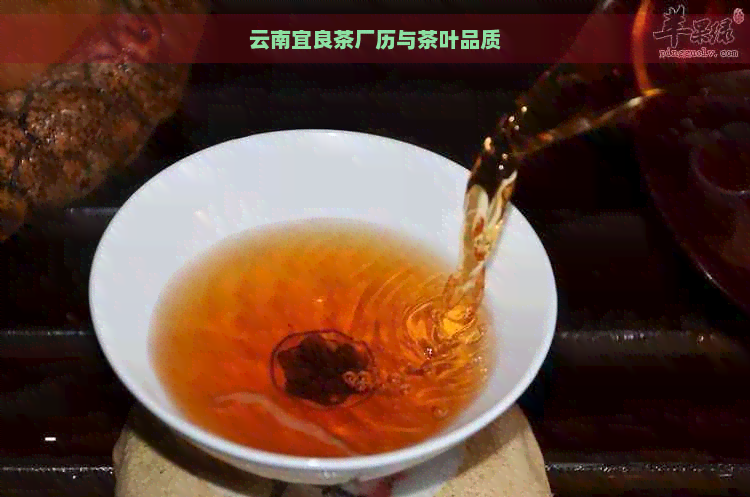 宜良去哪买普洱茶比较好