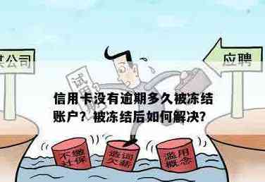 信用卡还款遇到问题：没有合条件的卡账号被冻结，如何解决？