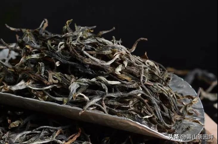 普洱茶的品饮时间与品质：什么时间喝普洱茶？女生如何选择？