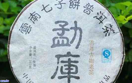 大益七子饼茶V4:品种特点、冲泡方法与口感评价，一文全面解析！