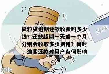 微粒贷逾期一天后果及宽限期：逾期一天后能否再次借款、如何避免逾期影响？