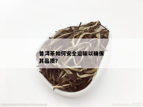 天津购买普洱茶的安全性分析与保证：物流过程详解