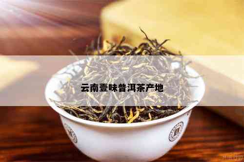 一味牌子普洱茶是哪里的产地和：云南普洱