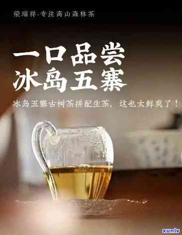 冰岛五寨熟茶的冰岛是指：揭示其产地与特色，理解这种茶叶的真正含义。