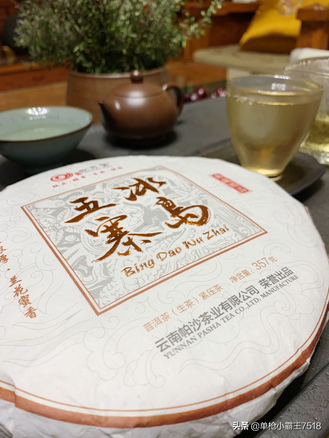 冰岛五寨普洱茶排名前十