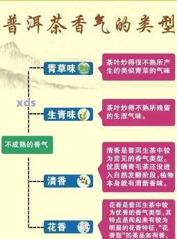 探寻普洱茶：一份全面指南，从入门到精通的你需要知道的关键书