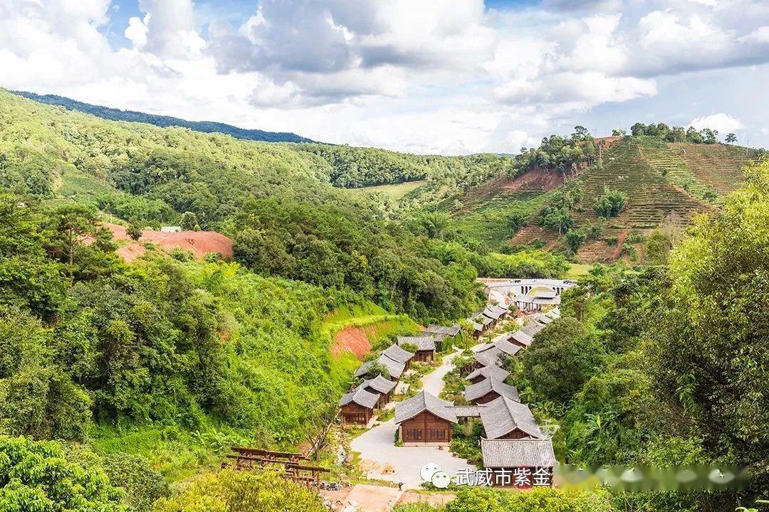 普洱地区的多元文化：探寻     在茶马古道上的历传承