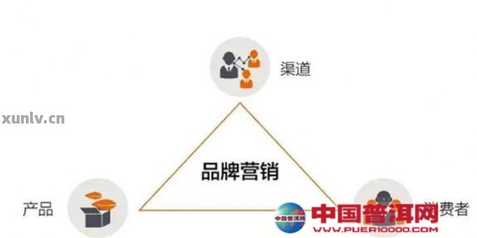 普洱茶原料采购、销售及分销渠道全面解析，一站式满足您的需求