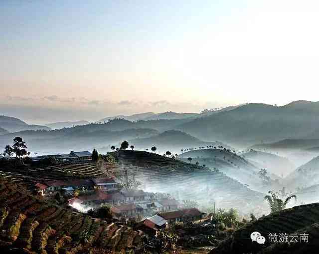 普洱茶原产于哪：普洱茶的故乡在中国云南省。