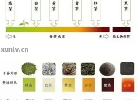 '普洱茶色素的科学认知与安全运用'