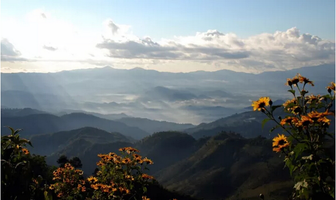 勐库东半山和西半山怎么分：勐库镇东西半山特点及茶叶比较