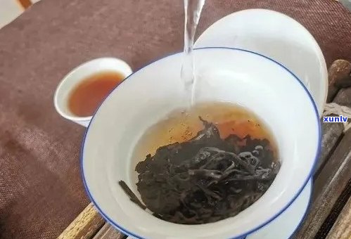 普洱茶冲泡：如何掌握茶叶与水的比例以获得口感？