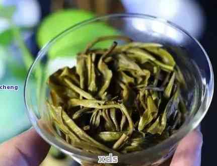 普洱茶冲泡：如何掌握茶叶与水的比例以获得口感？