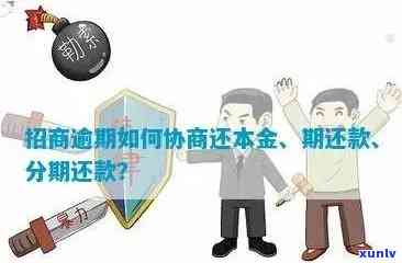 逾期后如何应对？完整流程解析与建议