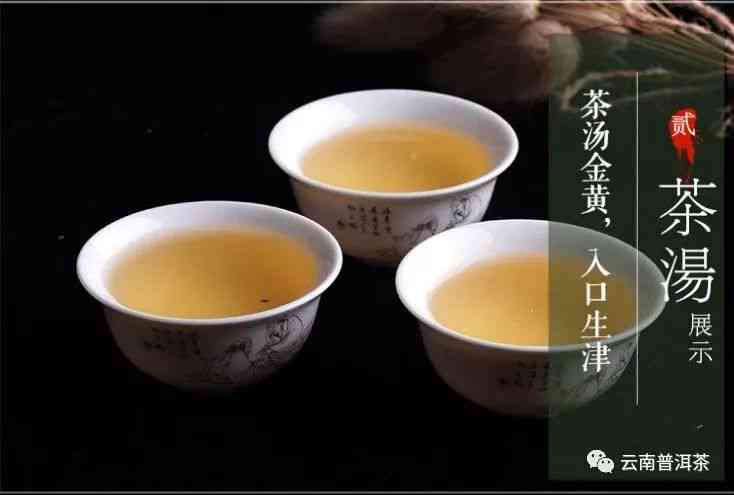 古代普洱茶：生茶还是熟茶？哪种更好？什么是古代普洱茶？古代有普洱茶吗？