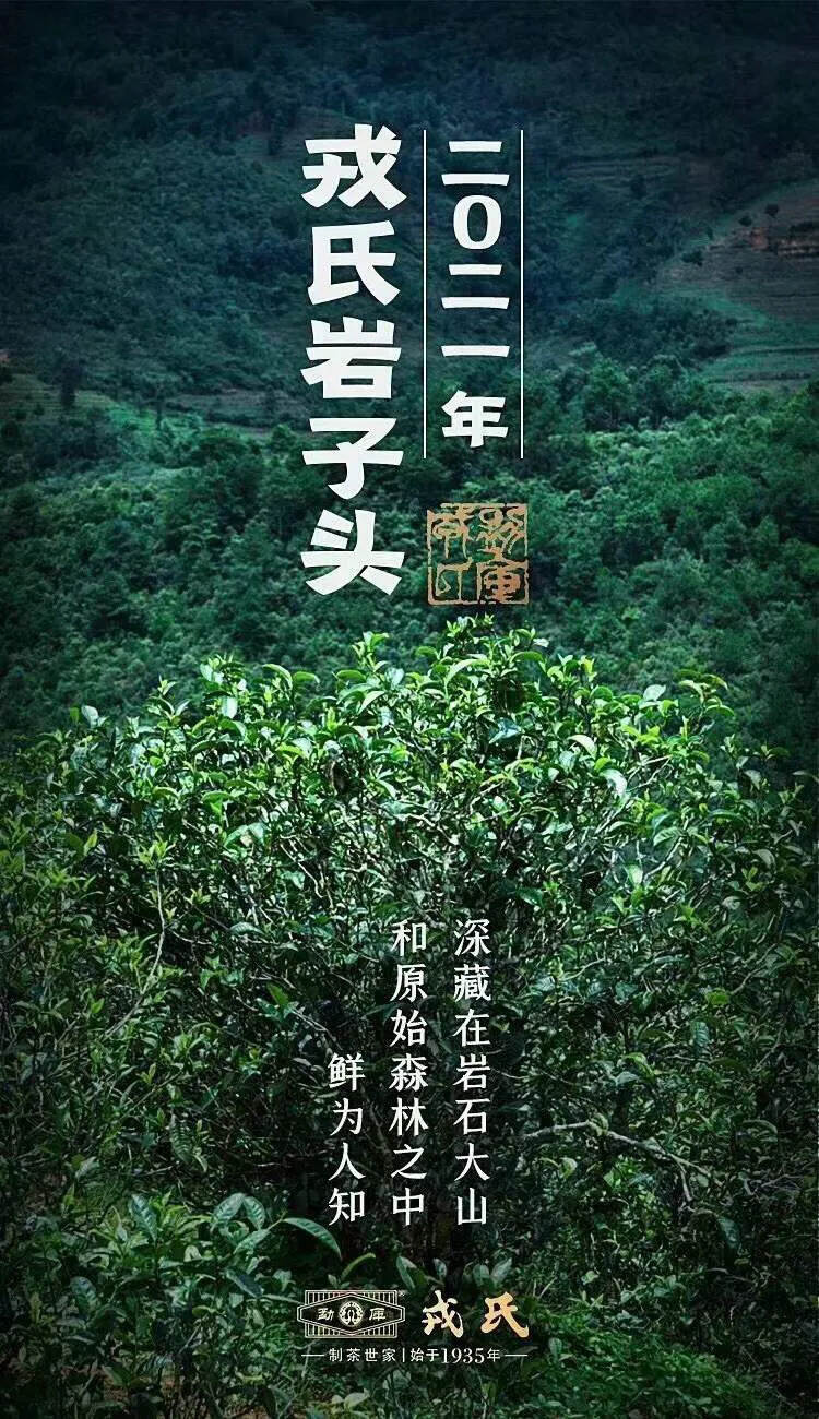 探索岩子头普洱茶的独特风味及其历文化背景