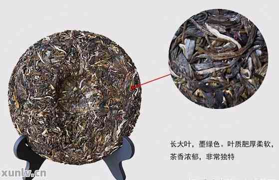 别具一格普洱茶：独特品种与含义解读