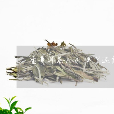 10年生普洱茶还能喝吗