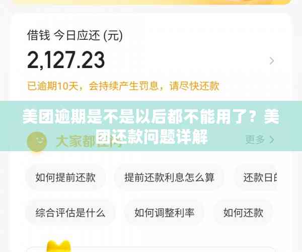 美团月付逾期一天还款后，额度无法使用的原因及解决方法