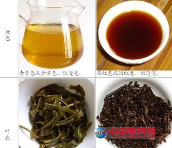 普洱茶口感过于干燥，如何进行调理？