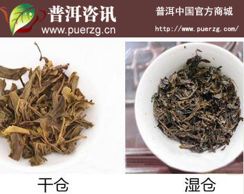 普洱茶口感过于干燥，如何进行调理？