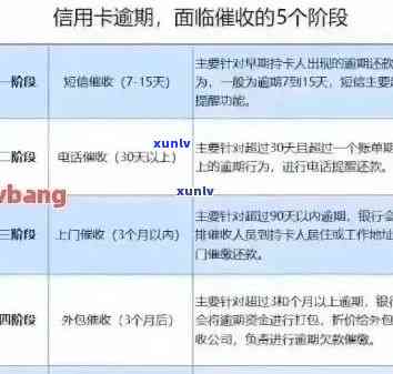 信用卡逾期还款策略：如何利用时机赚钱？