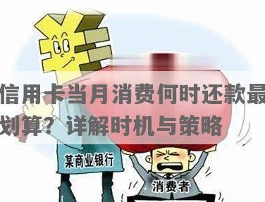 信用卡逾期还款策略：如何利用时机赚钱？