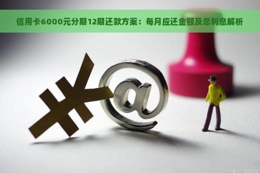 信用卡6000分24期利息一共多少：分期计算与每期金额解析