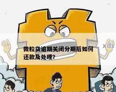 微粒贷关闭后如何进行分期全额还款？了解操作步骤和可能影响！