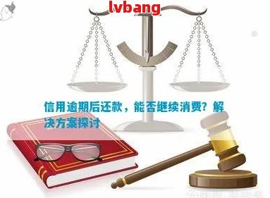 逾期还款方案详细解析：后期慢慢还是否可行？如何避免逾期影响信用？