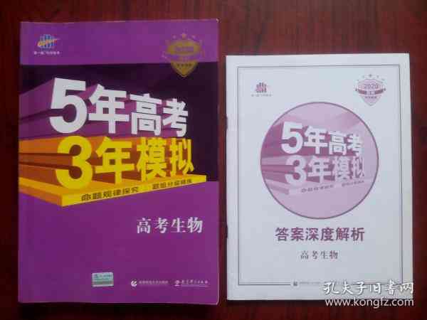 探索云南三大名玉：种类、特点与选购指南，解答你对名玉的所有疑问