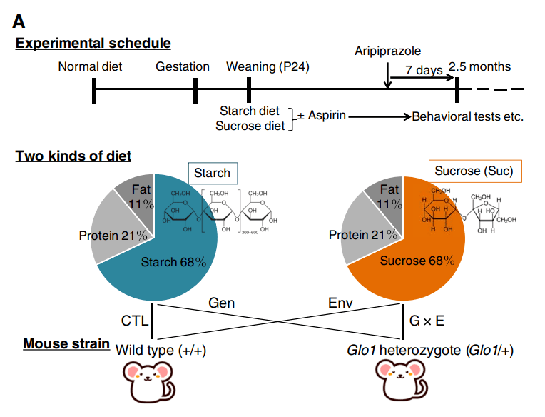 糖白玉的形成过程及其科学解析