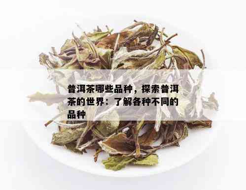 探索普洱茶的世界：如何区分不同种类的鸟普洱茶？