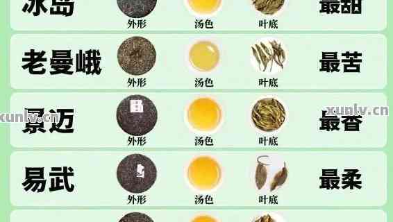 探索普洱茶的世界：如何区分不同种类的鸟普洱茶？