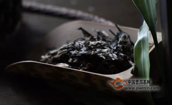 一只鸟的普洱茶是什么茶