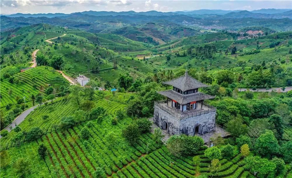 普洱茶博园做茶体验，价格，地点及游玩时长全方位解析