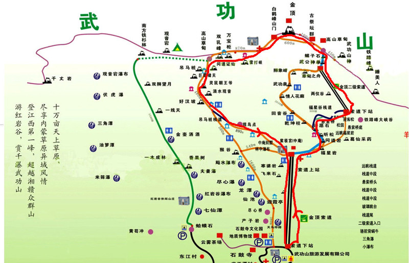 普洱茶的醉人特性：原因、影响与安全性解析