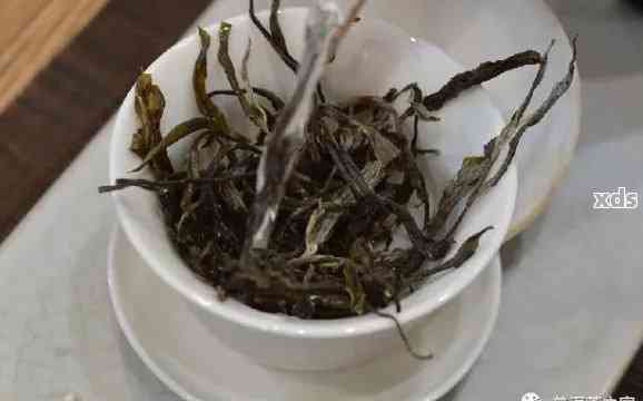 紫芽普洱茶的由来、特点和品饮方法：为什么它被称为紫芽？