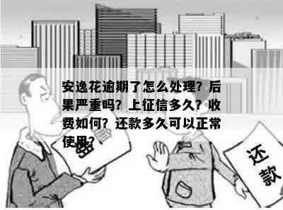 逾期还款与被执行人：哪个后果更为严重？