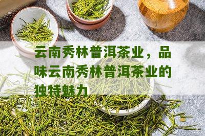 秀林普洱茶怎么样好不好