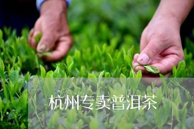 杭州哪里可以买到正宗的普洱茶？-杭州哪里可以买到正宗的普洱茶叶