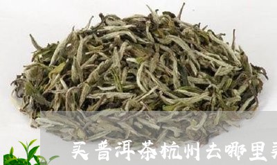 杭州哪里可以买到正宗的普洱茶？-杭州哪里可以买到正宗的普洱茶叶