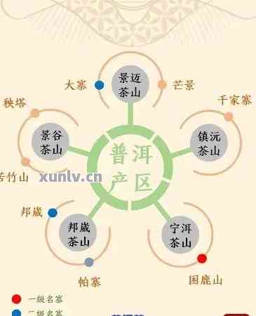 杭州优质普洱茶排名 - 权威指南与推荐