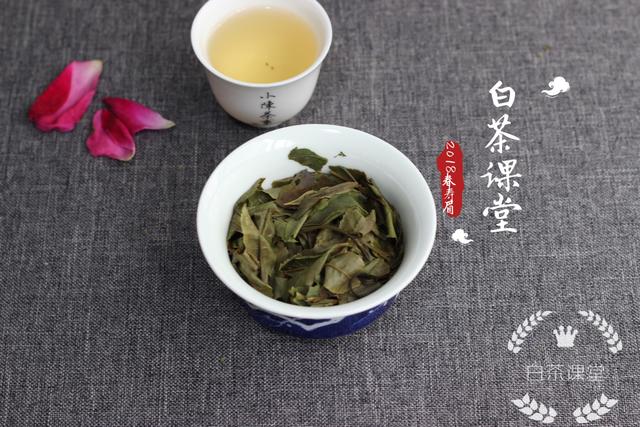 普洱茶叶价格大全：一斤普洱茶多少钱？如何选购和保存普洱茶叶？