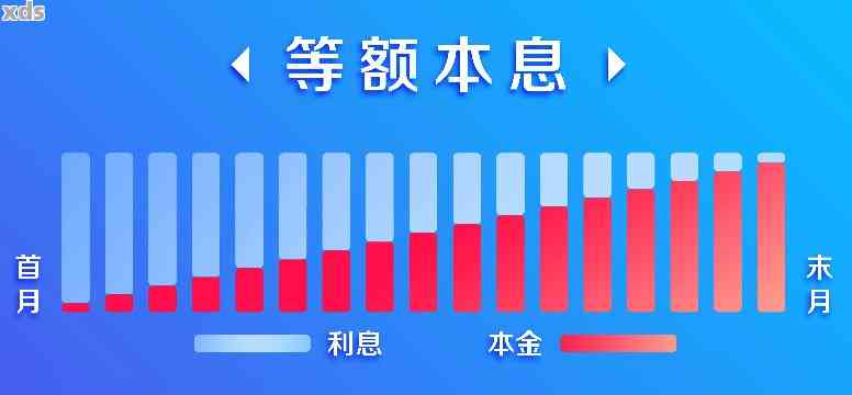 新 每个月只还本金，能否使用借呗？了解利息分期还款策略